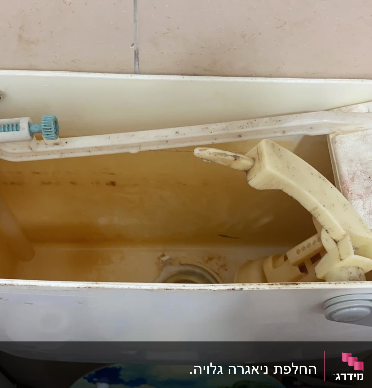 מיכל הדחה פתוח עם מנגנון צף וברז פלסטיק